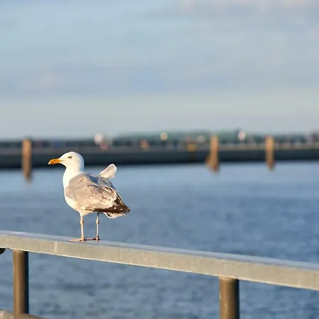 Apartamento Hafeneck Moba-travel Lubeca